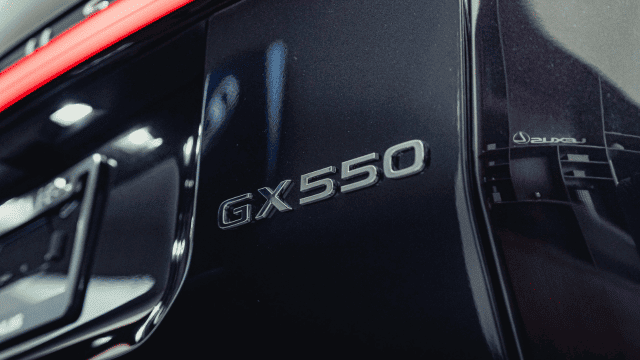 GX (2)
