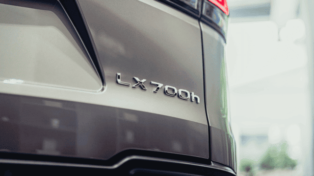 LX (4)