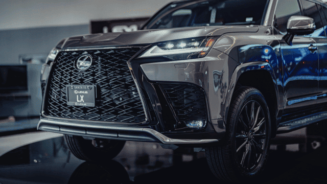 LX (5)