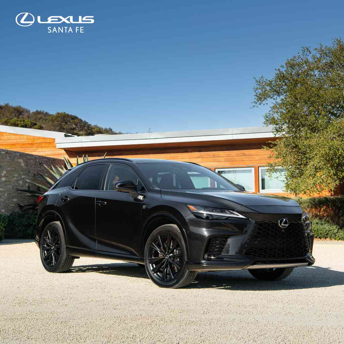 RX_Lexus Santa Fe